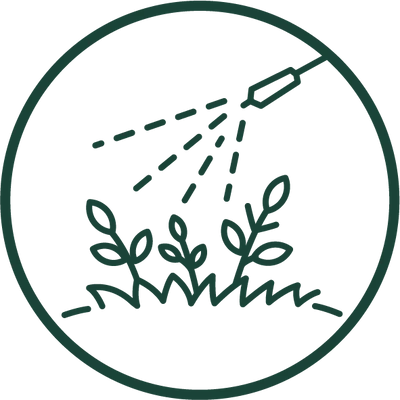 Pesticides